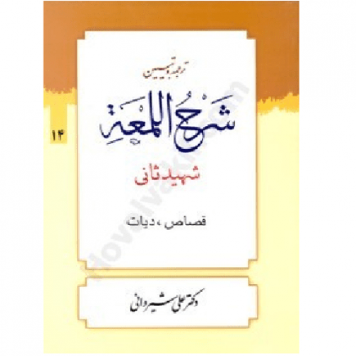 فقه (۶)