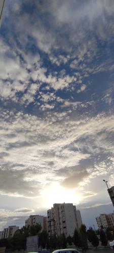 IMG_20230531_182650