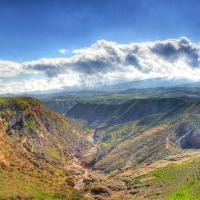 امید رضایی نژاد