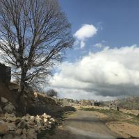 مینا کشاورز