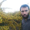 محمد واحدی