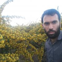 محمد واحدی