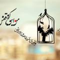 علی نکویی