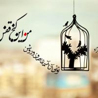 علی نکویی