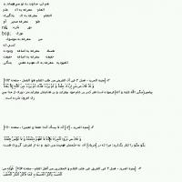 ملیحه صالحی