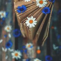 امیرحسین موسوی