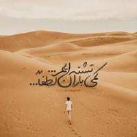 محمد صادق نوری