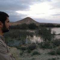 امین پورمحمدی
