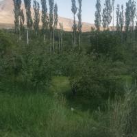 حبيب رضایی