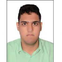 محمد فاتحی
