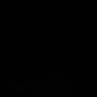 مهدی شارکی