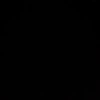 زهرا سالاری