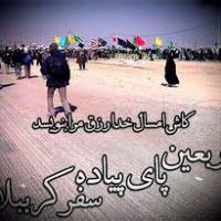 خانم تقوی