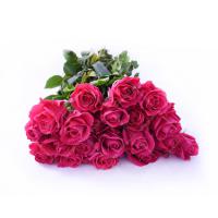 علی وزیری