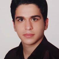 سید حسن هاشم نیا