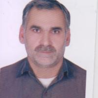 مرتضی میرزاحسین