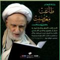 مصطفی موسوی