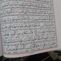 علیرضا مقدم