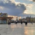 شایان رضوی