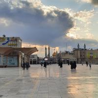 شایان رضوی