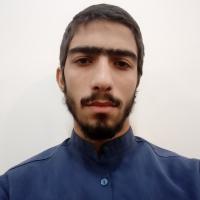 محمد جواد ایرانی