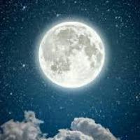 رضا شهریاری