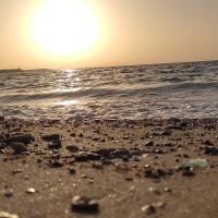 مهیار بیات