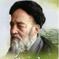 ali ali