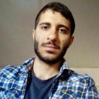 Hosseini seyed mohammad javad