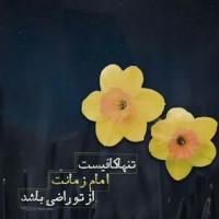 ابراهیمی العبید علی