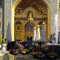 عارفه ایزدی