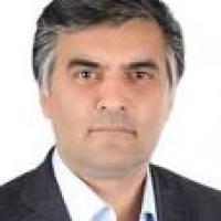 رضا حسینی