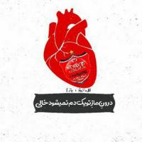 حبیبی محمد مهدی