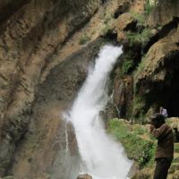 یاس تنها