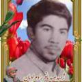 زینب راد