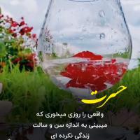 خلیل خلج