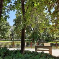 فاطمه مهدیه