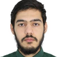 محمد زارعی