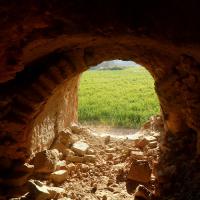 پورهاشم مرتضی