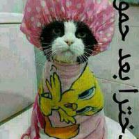 سیدسهراب حسینی
