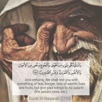 مرضیه محمودی