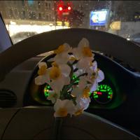 م کریمی