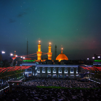 محمد امین لطفی