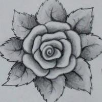 داوود حسین زاده