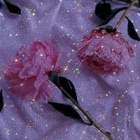 حیدری ریحانه