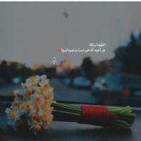 فاطمه دره زرشکی