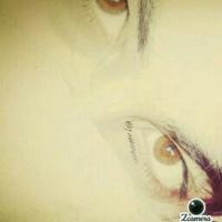 Njat Sadaf