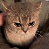 مرتضی محمدیان