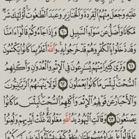 خاطره ترکمان