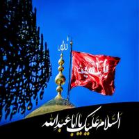 امیرحسین جعفری